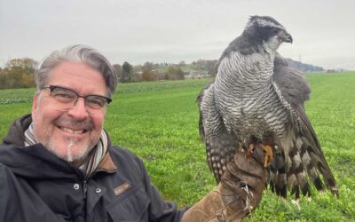 Fokus & Weitsicht in Führung